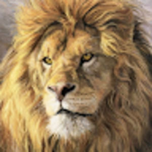 Meet your Posher, Daron